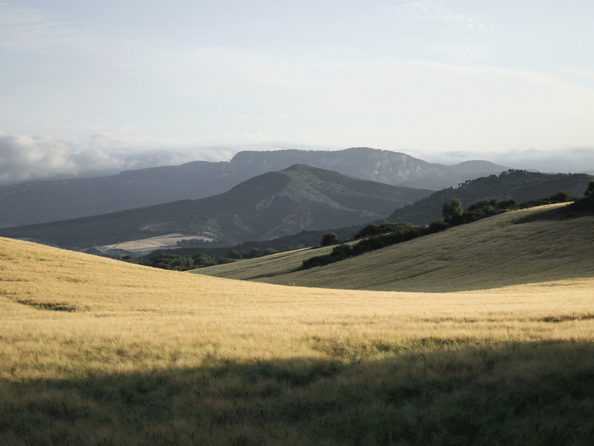 French Way Trek last 100 km leads through the beautiful countryside of Spain