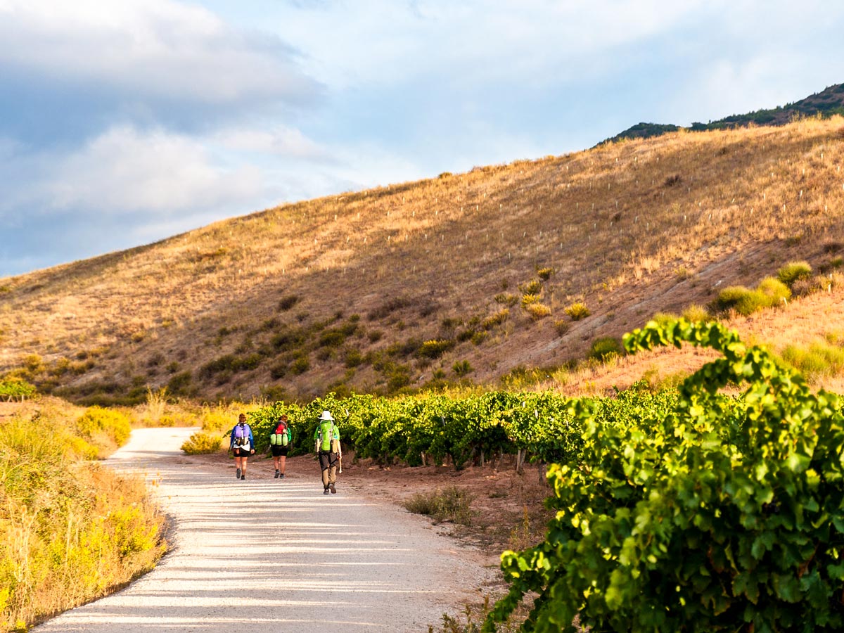 tours camino de santiago