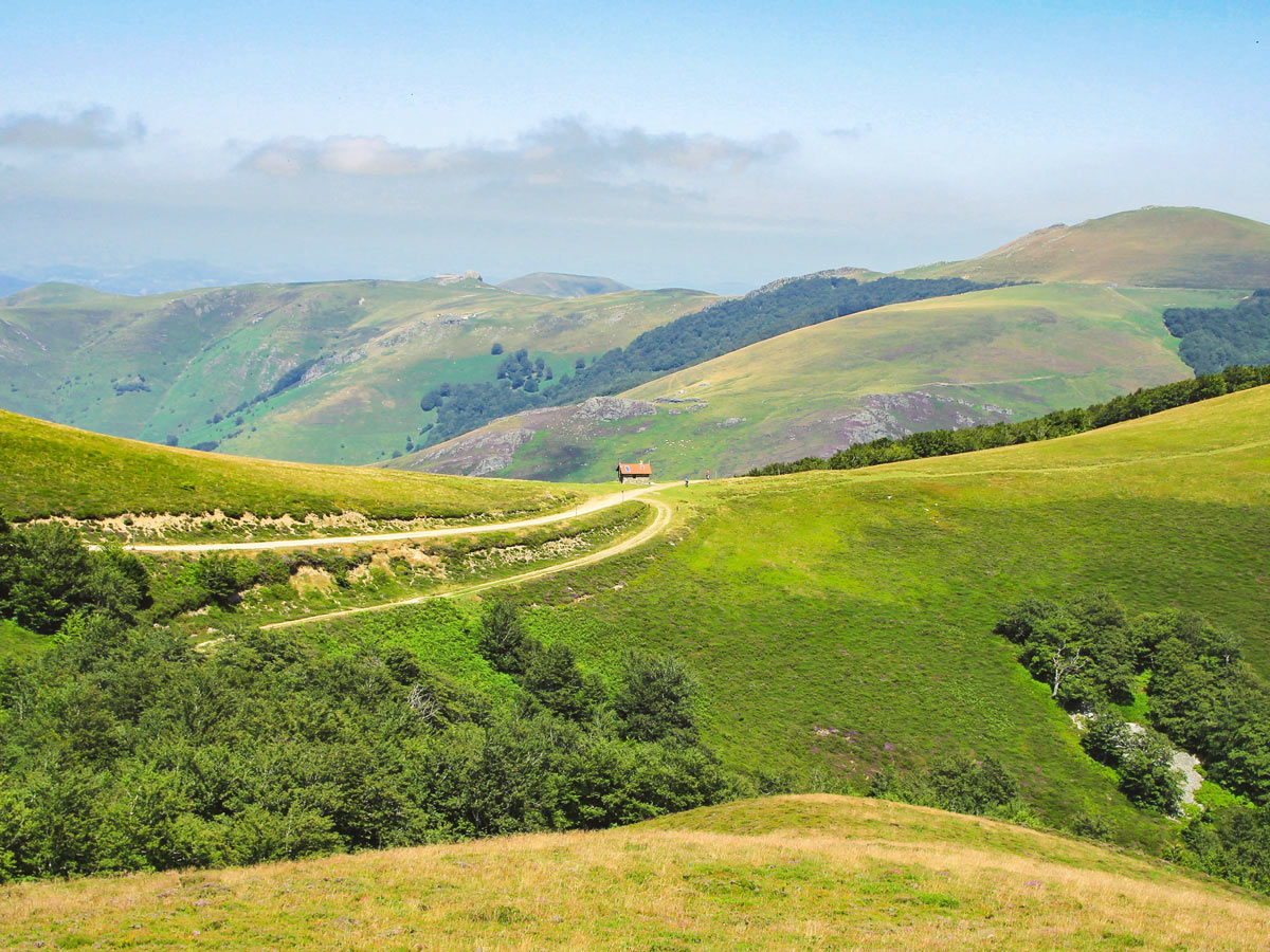 Greend fields of Northern Spain along the Camino de Santiago route