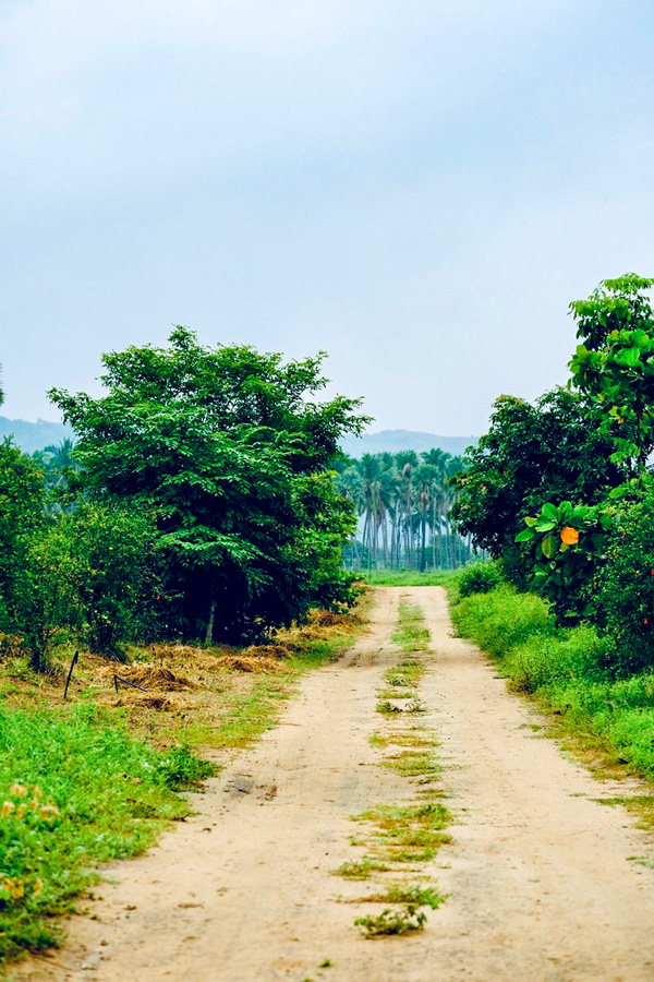 Biking in Western Ghats is a very rewarding experience in Kerala India