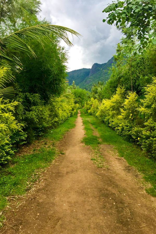 Wide biking path on Biking in Western Ghats Tour