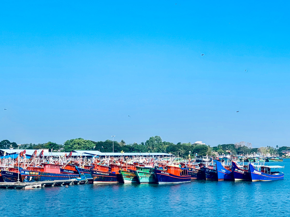 Biking in Western Ghats Tour with a guide includes visiting the beach of Cochin