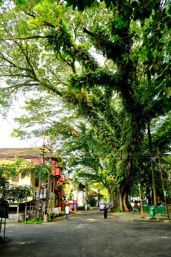 Streets of Cochin visited on a tour with a guide in Kerala India