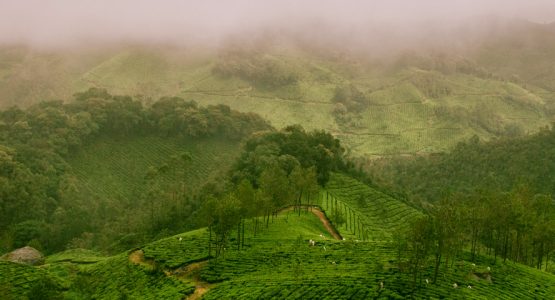 Kerala Voyages Biking Western Ghats