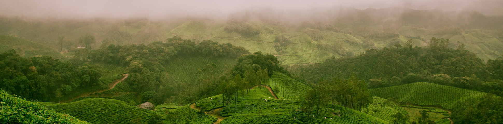 Kerala Voyages Biking Western Ghats