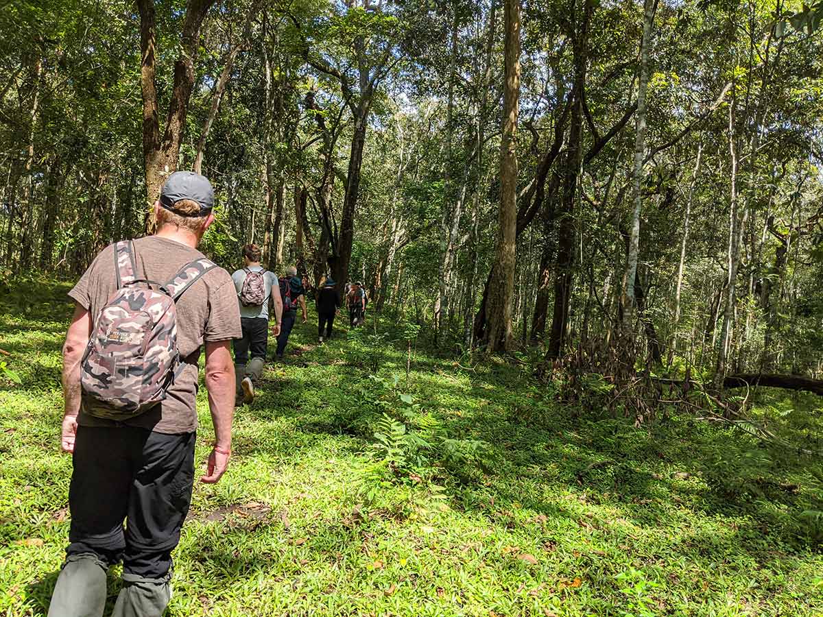 Trekking with a group in Western Ghats is an unforgettable adventure