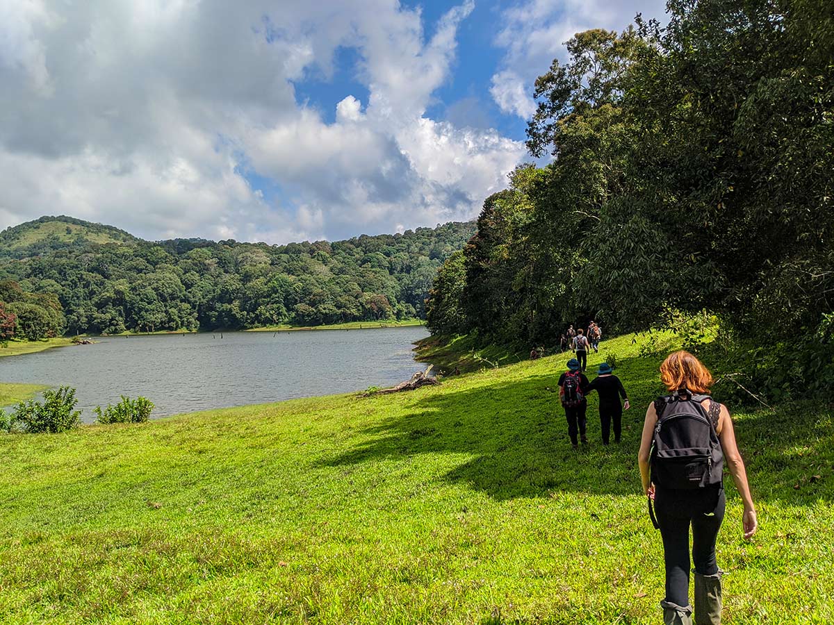 Trekking with a guide in Western Ghats