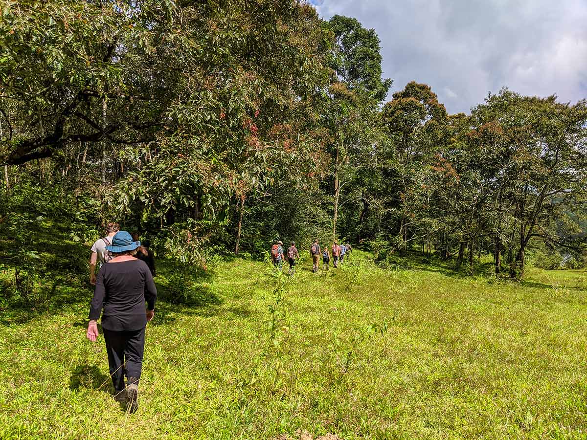 Trekking in Western Ghats is a very rewarding experience