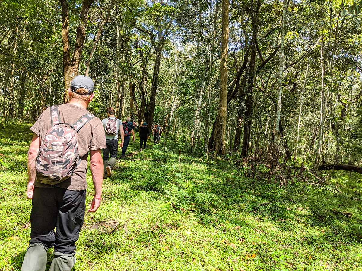 Group of hikers in lush forests of Kerala