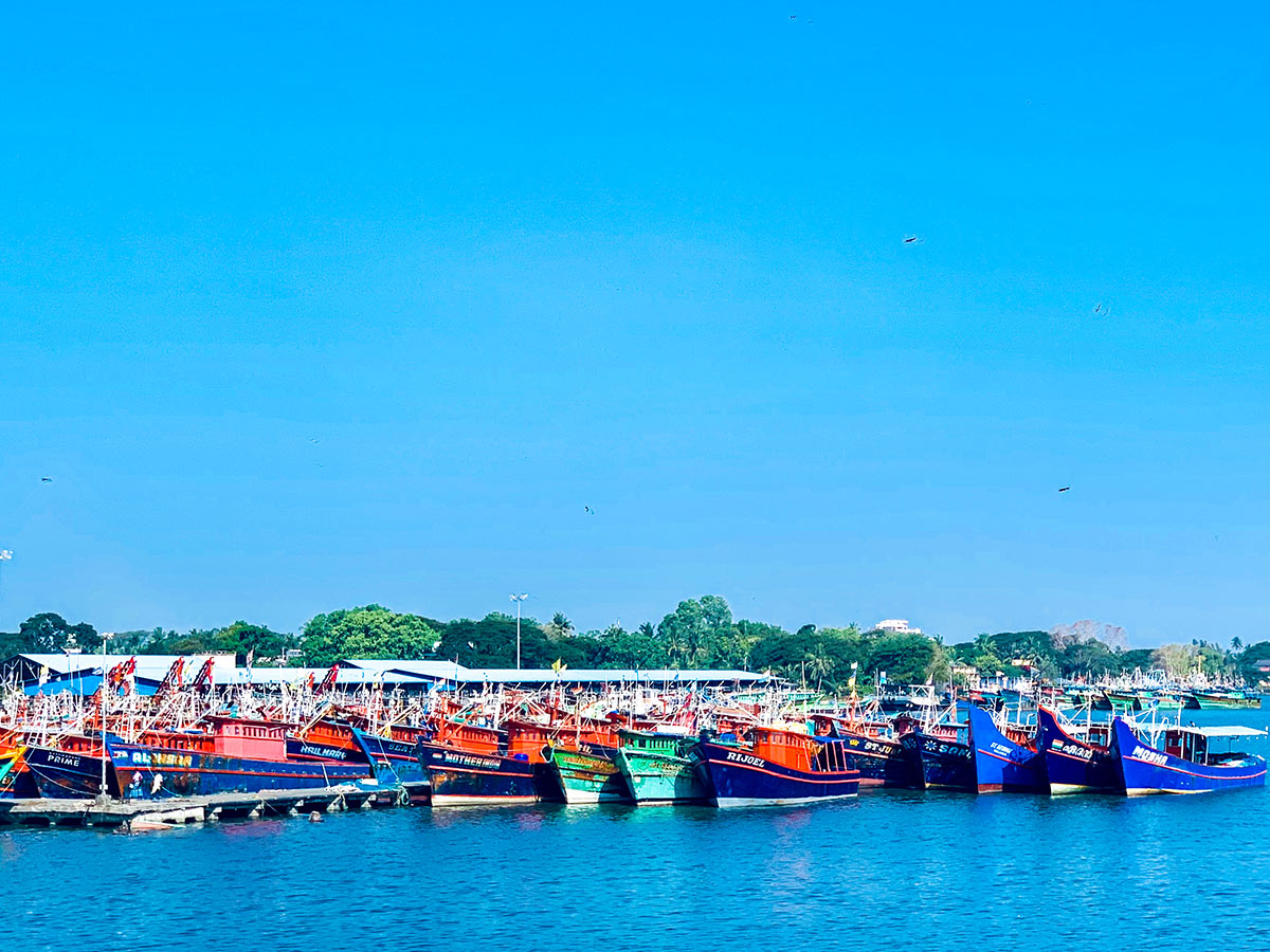 Small marina at Cochin seen on Trekking in Western Ghats tour