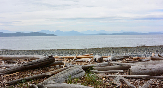 Vancouver Island Bike Tour