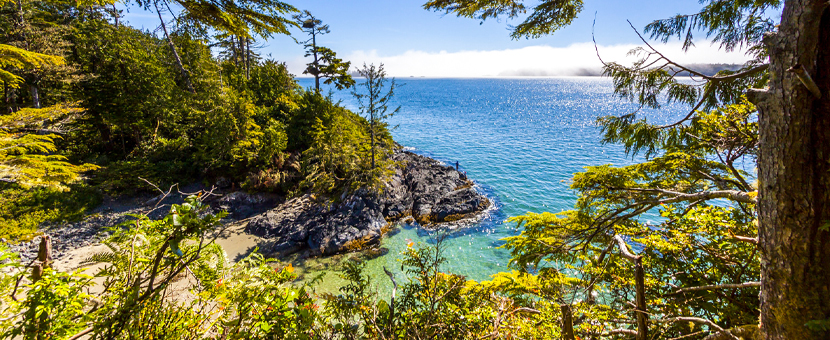 Canada tours Vancouver Island 8 day tour