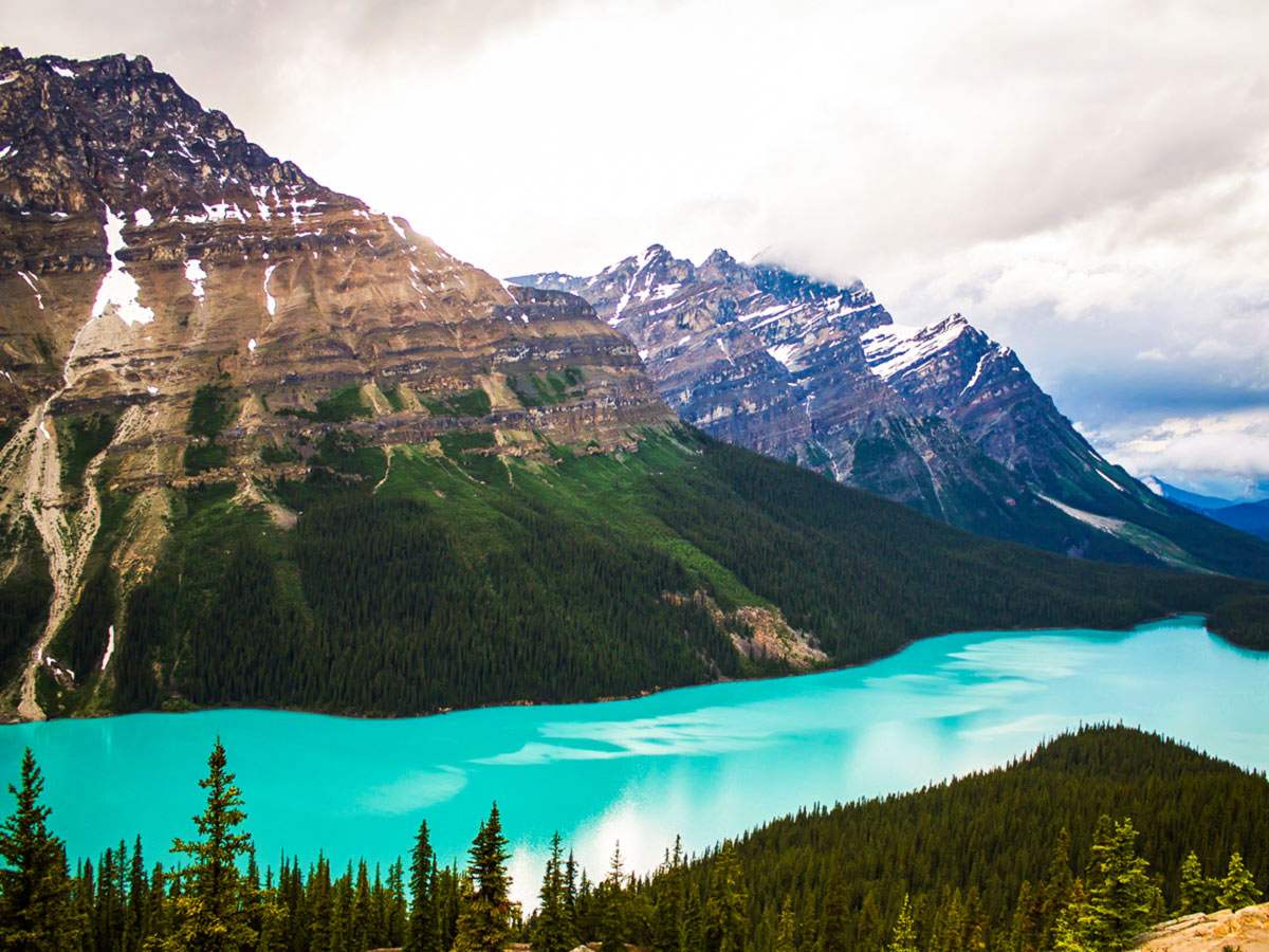 12 day guided camping and hiking adventure tour includes visiting the Peyto Lake near B