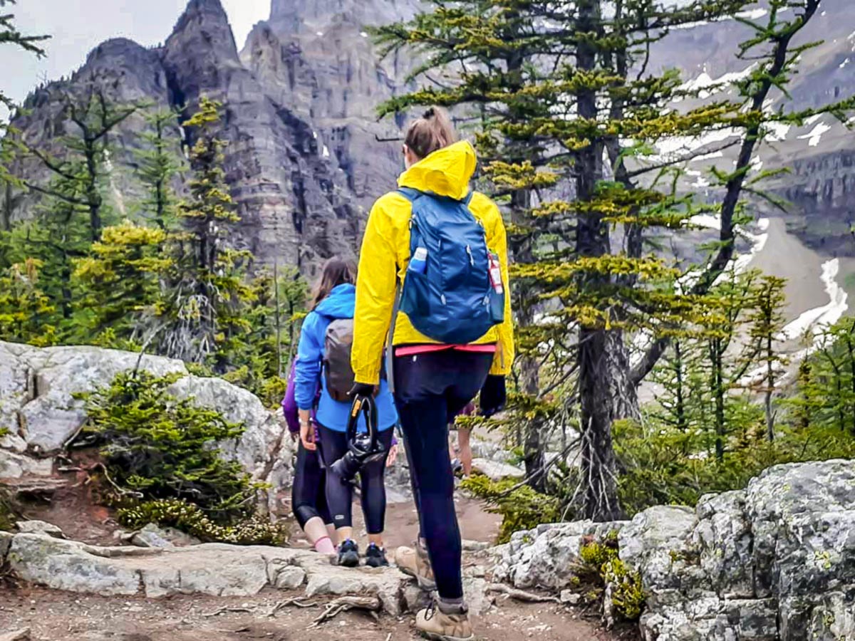 Group of hikers approaching the Lake Agnes Tea House