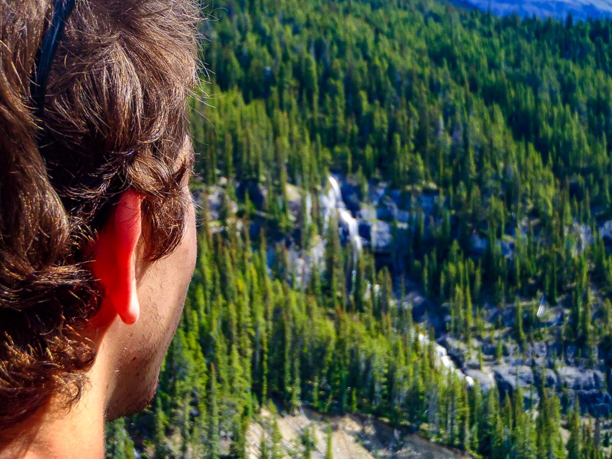 Looking down on green forests in the Canadian Rocky Mountains