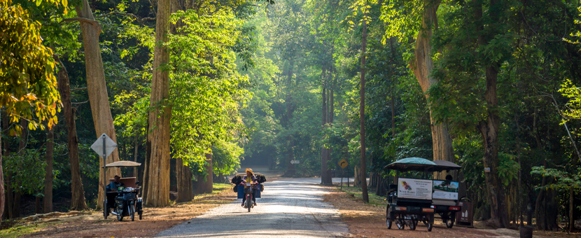 Backroads Biking in Cambodia