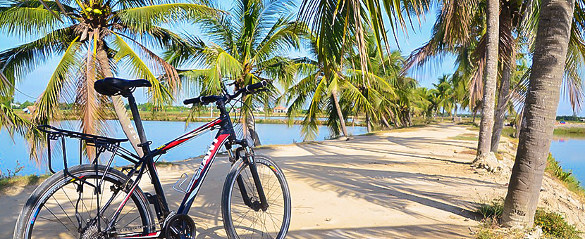 Along the Coast of Vietnam