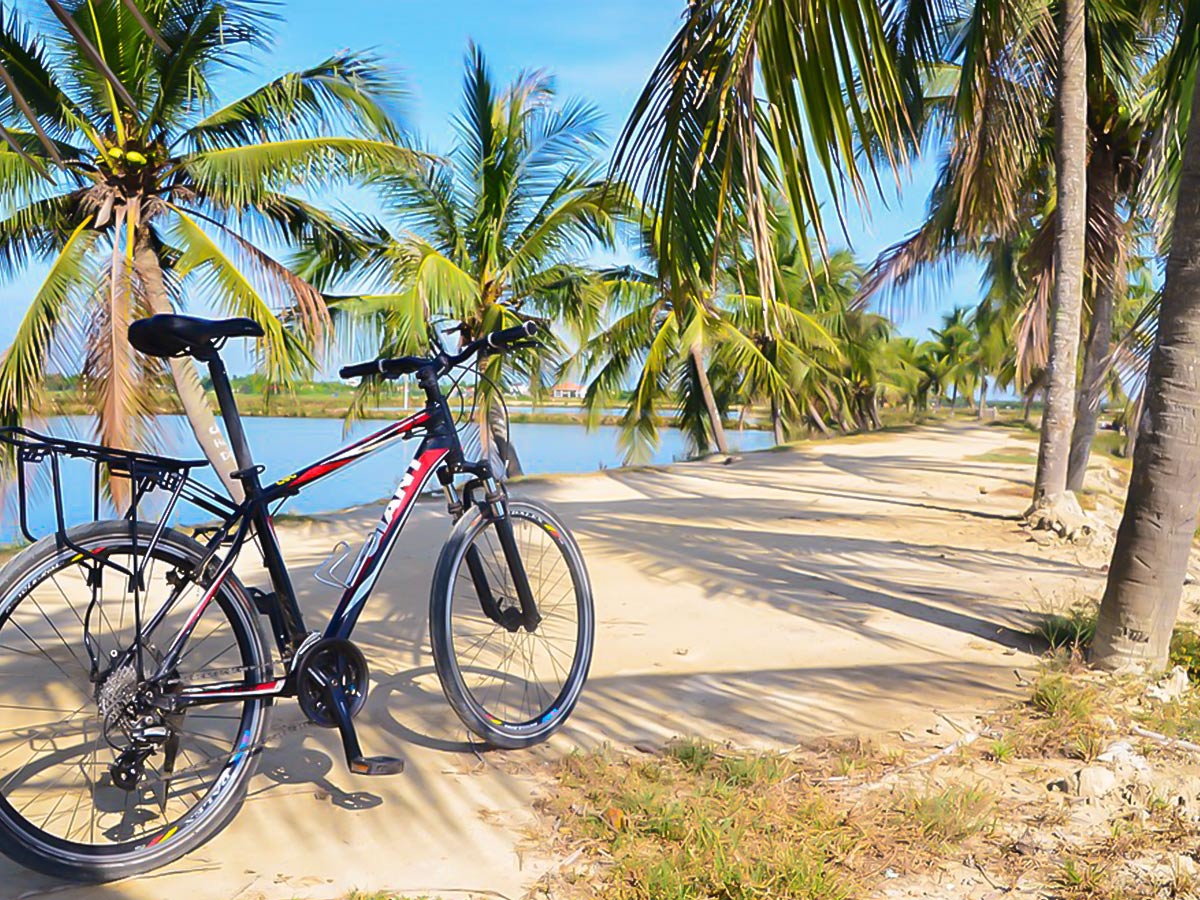 Resting among the palm trees on Coast of Vietnam Tour