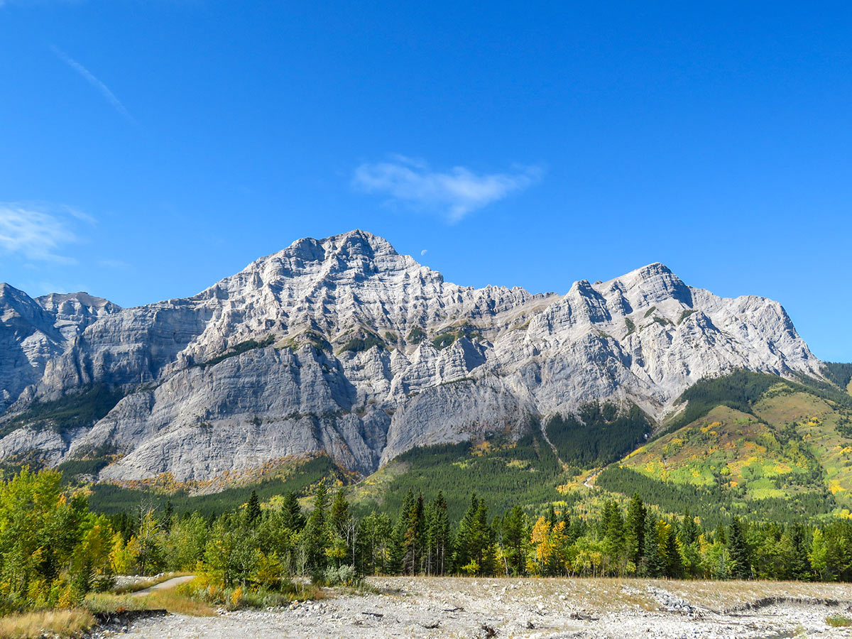 Beautiful views of the Canadian Rocky Mountains seen on a guided tour