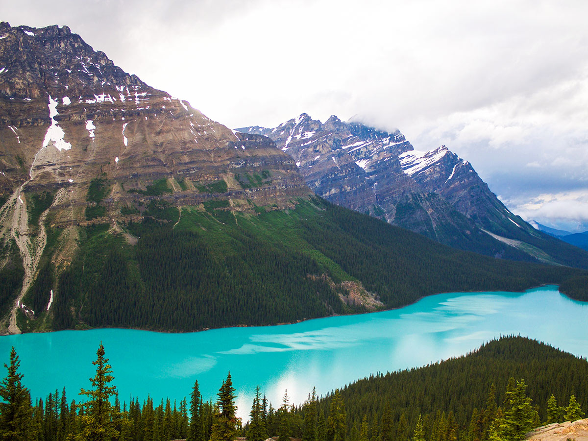 Peyto Lake during the summer seen on guided camping tour to Canadian Rockies