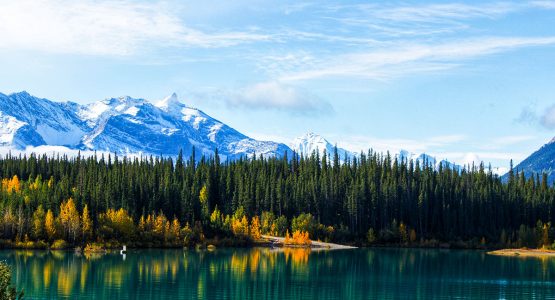 Beautiful trees reflecting in turquose waters of Emerald Lake