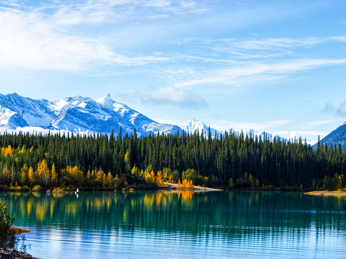 Beautiful trees reflecting in turquose waters of Emerald Lake