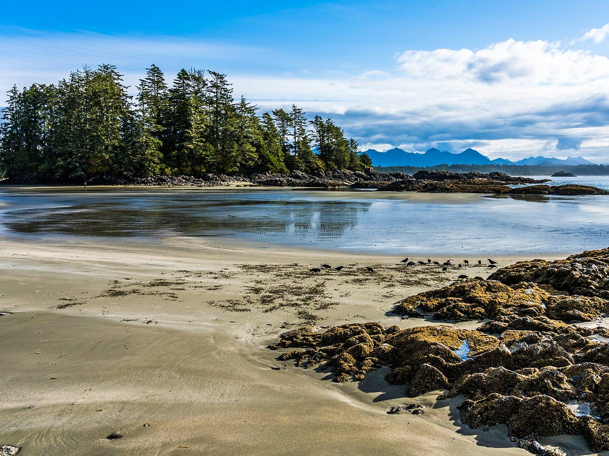 Wild beach seen on 8 day Vancouver Island Camping Tour