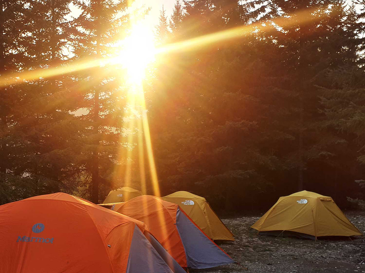 Setting a campsite on a guided tour in Vancouver Island