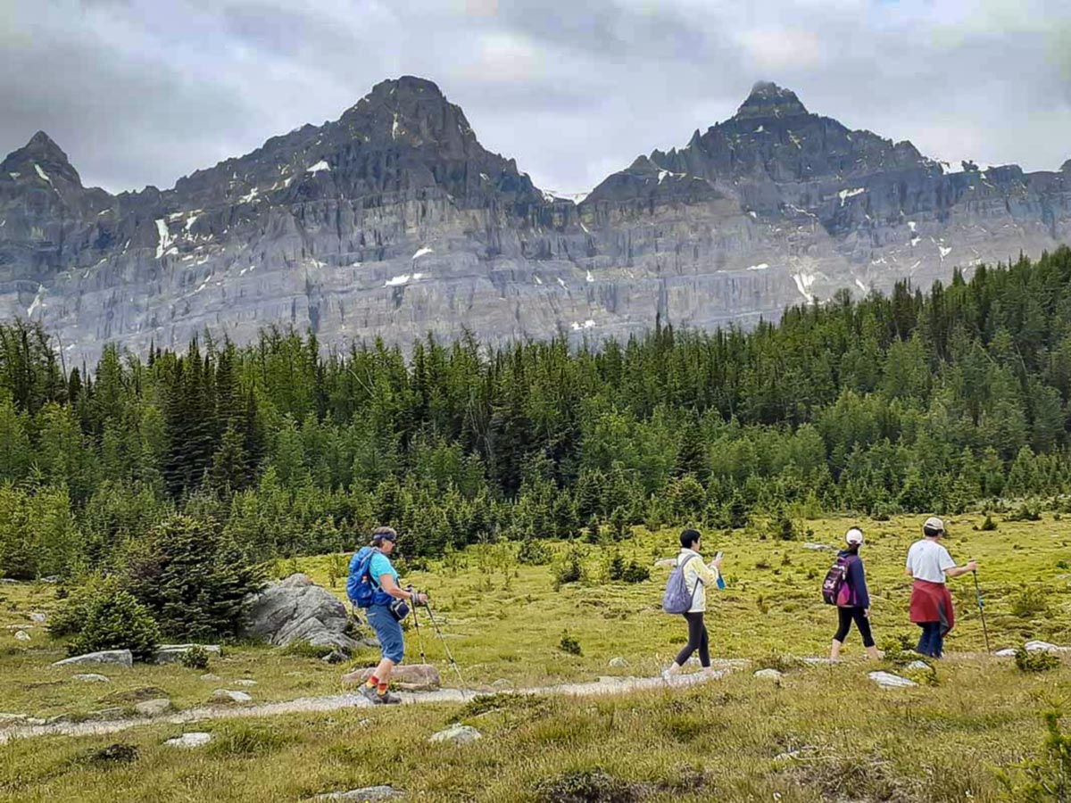 Group of hikers walking on a beautiful trail in the Canadian Rockies