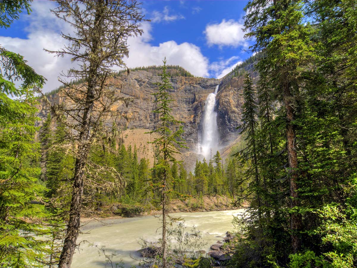 Takkakaw Falls seen on a guided tour in Banff and Yoho National Parks