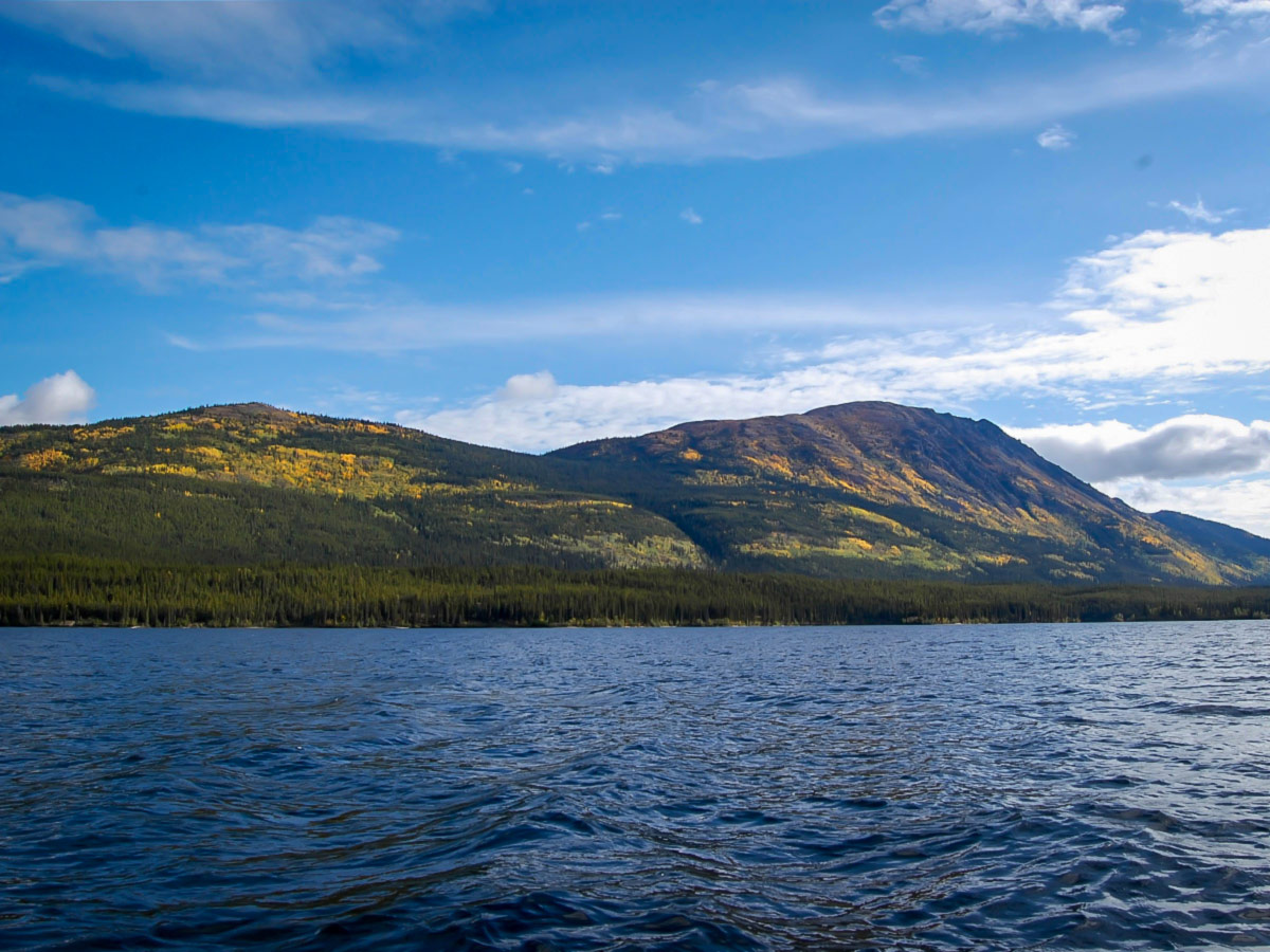 Guided Canoeing Tour on Big Salmon River, Yukon, Canada