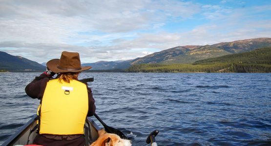 Canoeing on Big Salmon River in Yukon is a very rewarding experience
