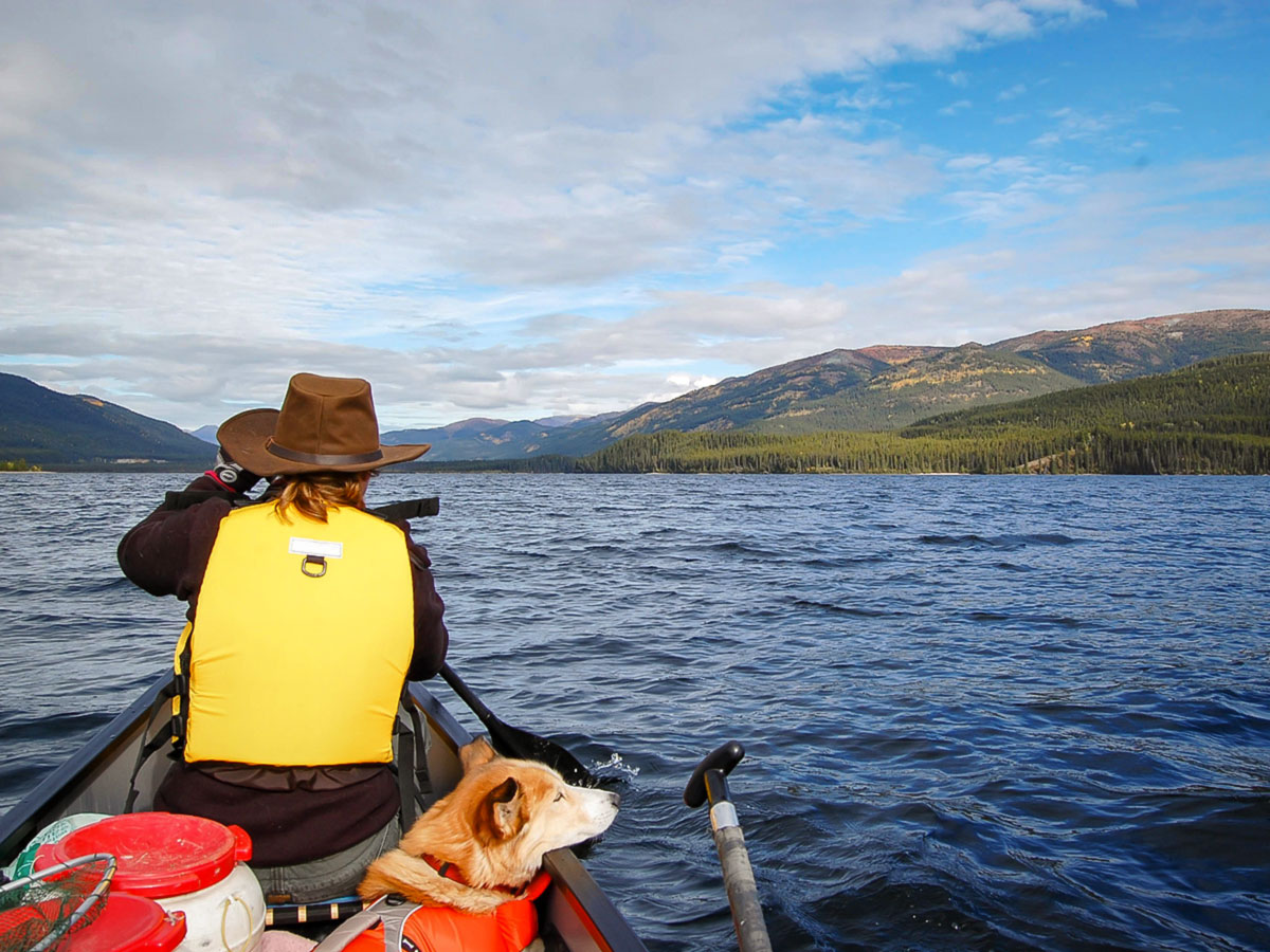 Canoeing on Big Salmon River in Yukon is a very rewarding experience