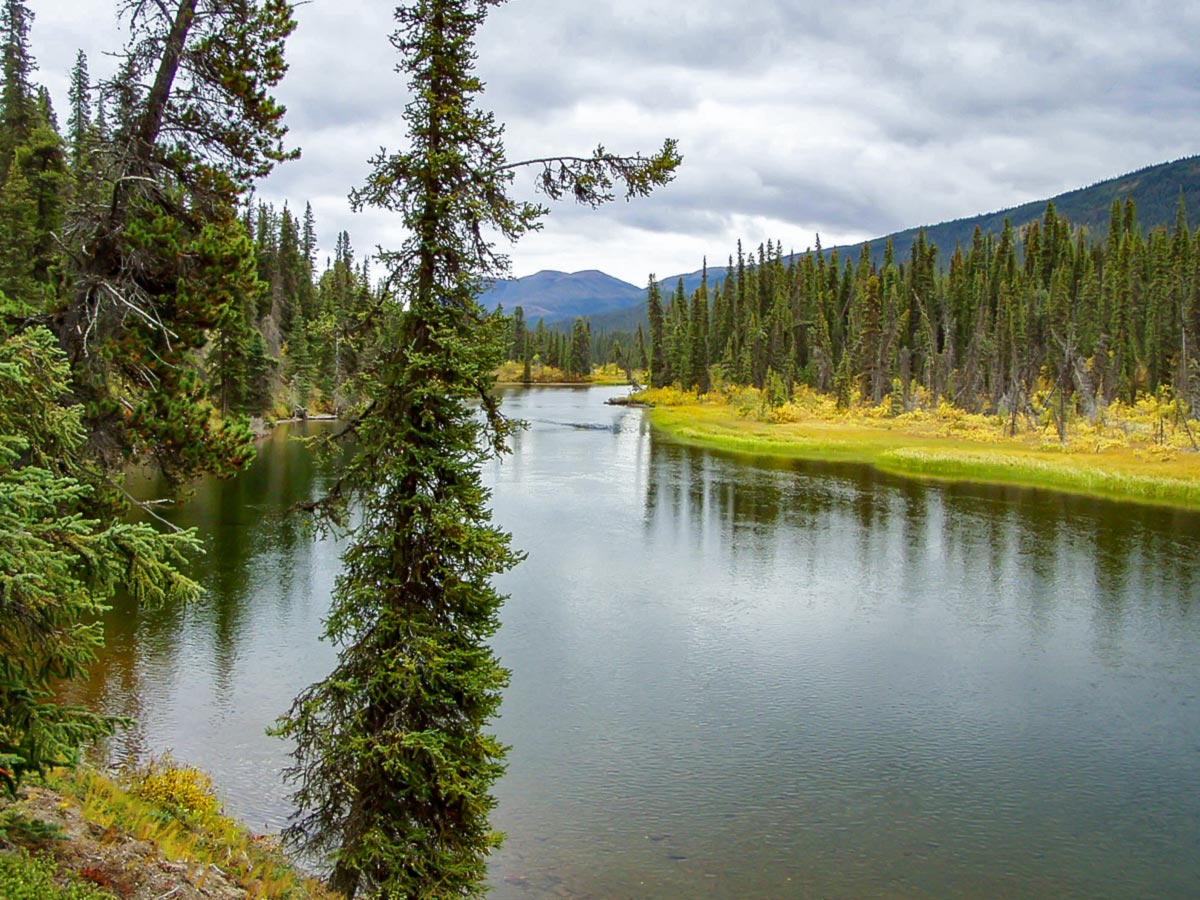 Views from canoeing on Big Salmon River in Yukon tour with a guide