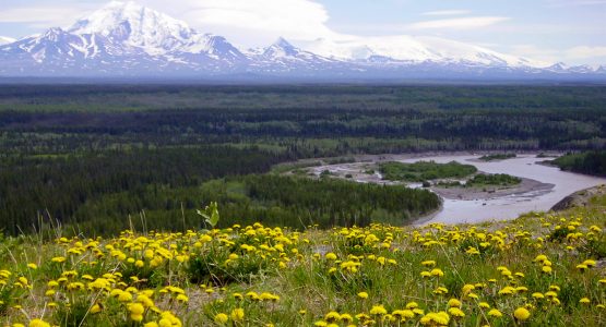 Expansive views of the Northern America (Yukon and Alaska Scenic Tour)