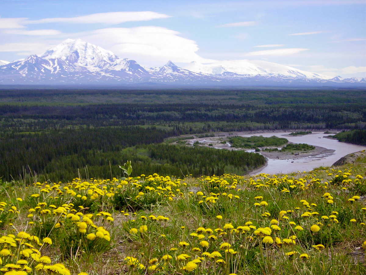 Expansive views of the Northern America (Yukon and Alaska Scenic Tour)