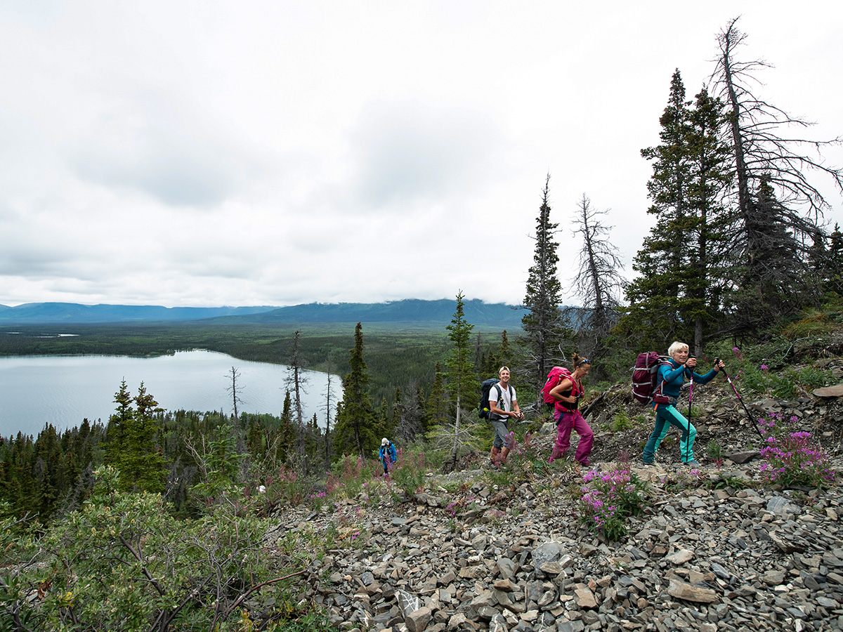 Hiking in the Kluane National Park (Yukon and Alaska Scenic Tour)