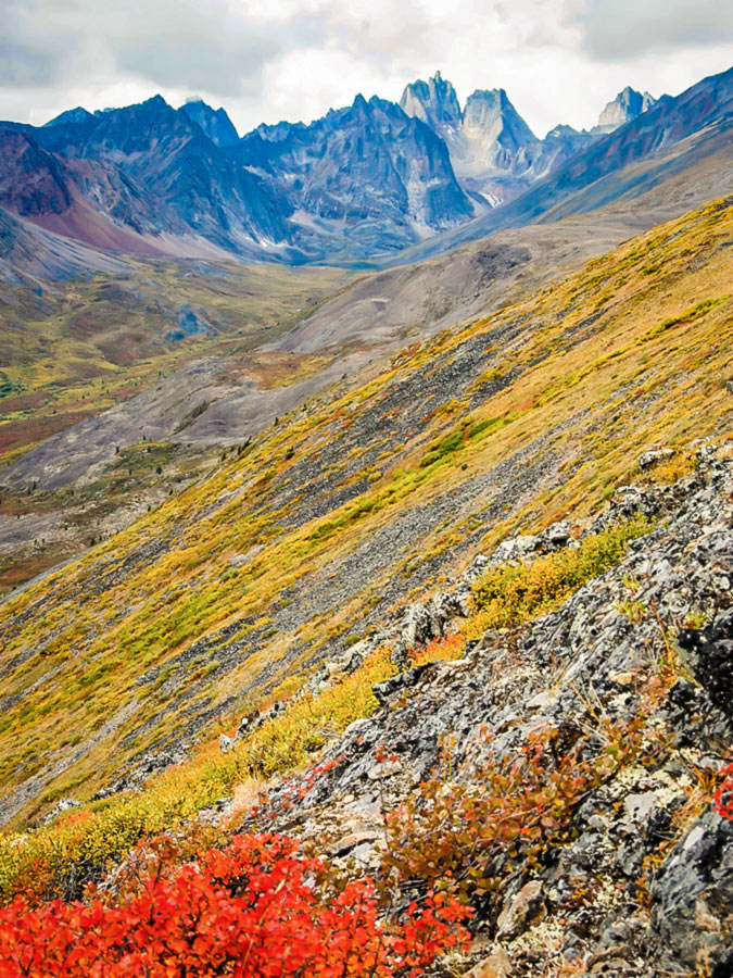 Hiking in the Tombstone Territorial Park with a guide is a very rewarding experience