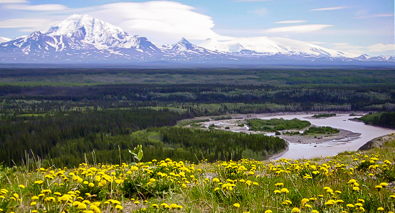 Yukon Alaska Explorer