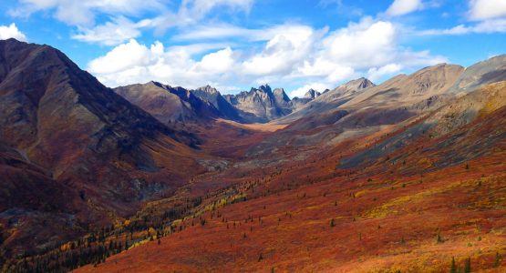 Tombstone Park Hike in Yukon Rockies to Alaska Tour