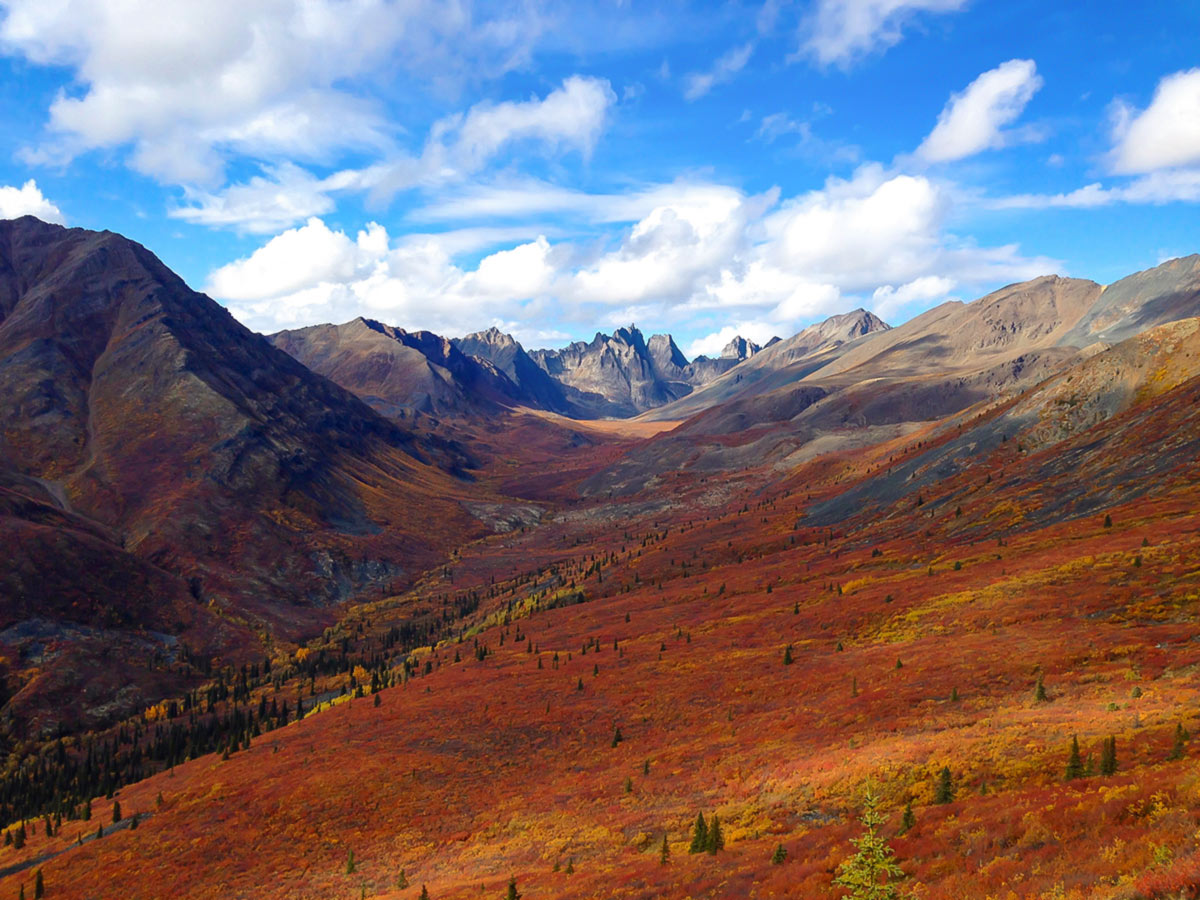 Tombstone Park Hike in Yukon Rockies to Alaska Tour