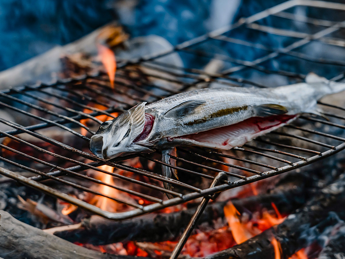 Grilling the freshly cought fish from river on a guided Yukon River Canoeing Tour