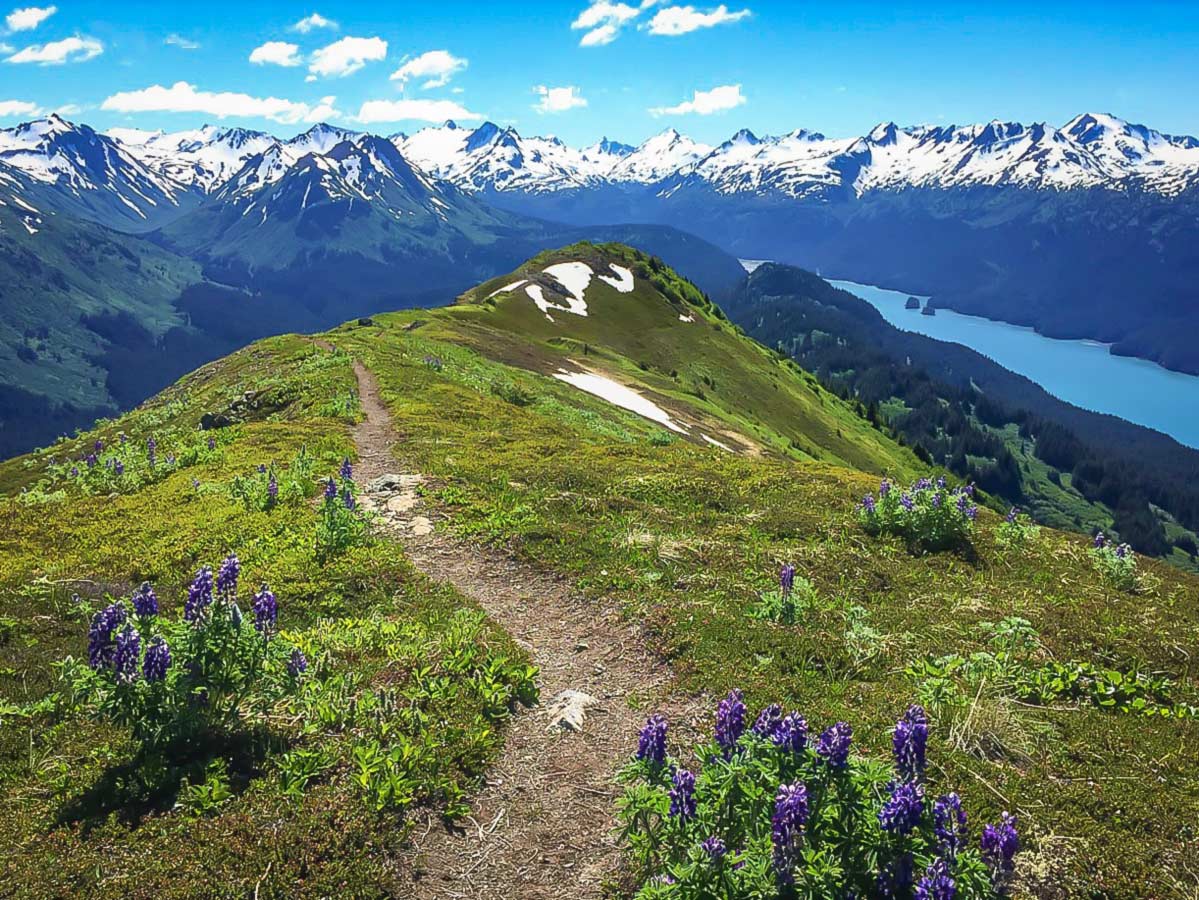 Walking on the ridge in the Kenai Peninsula in Alaska