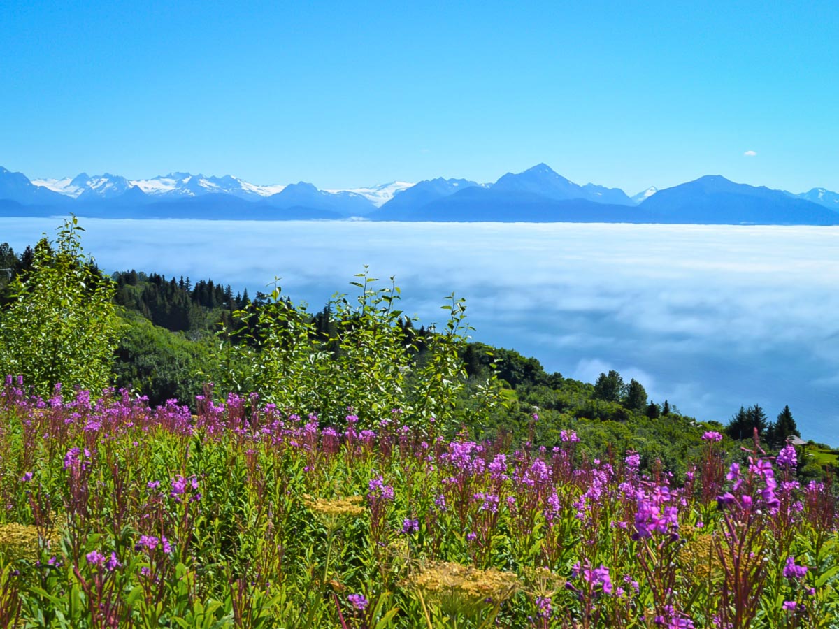 Stunning views of Kenai seen on a guided hiking tour in Alaska