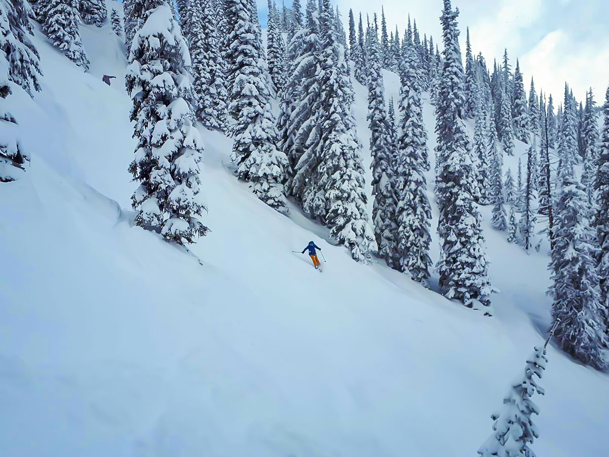 6-Day British Columbia Ski Tour, Skier