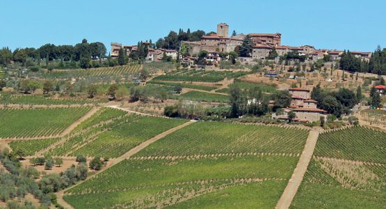 Tuscan Family Cycling Tour