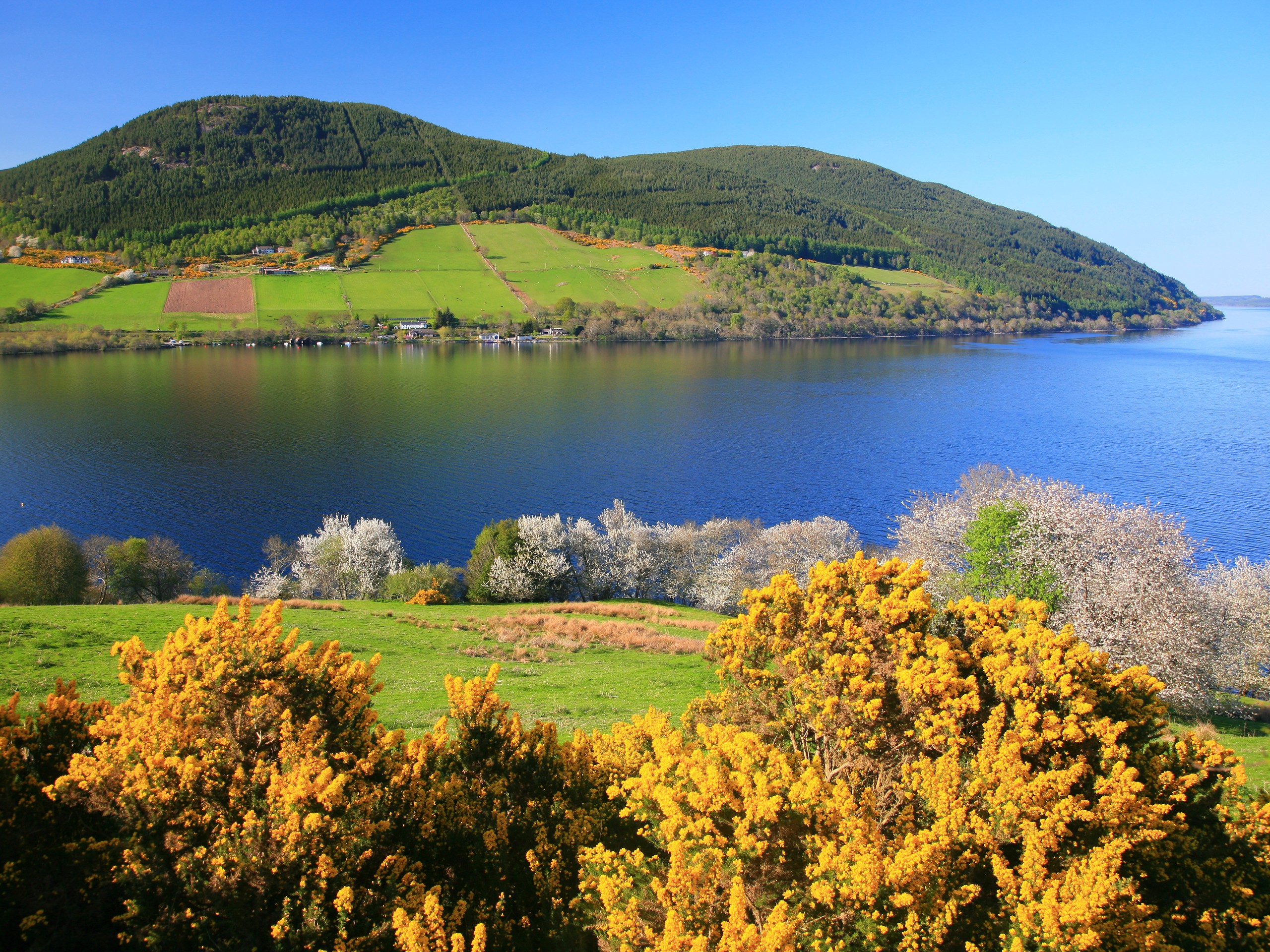 Beautiful views from Great Glen Way tour