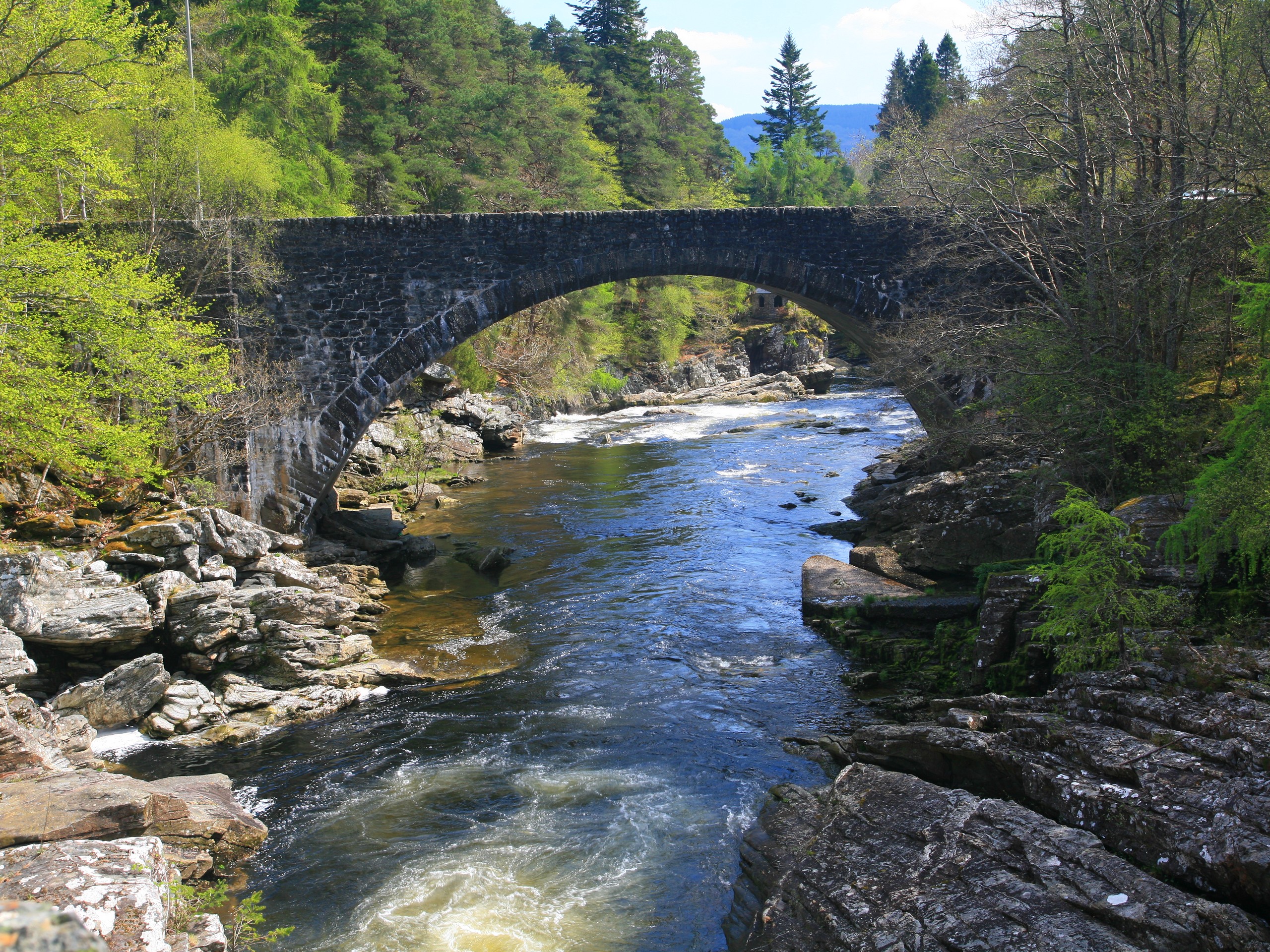 Beautiful river and a bridge