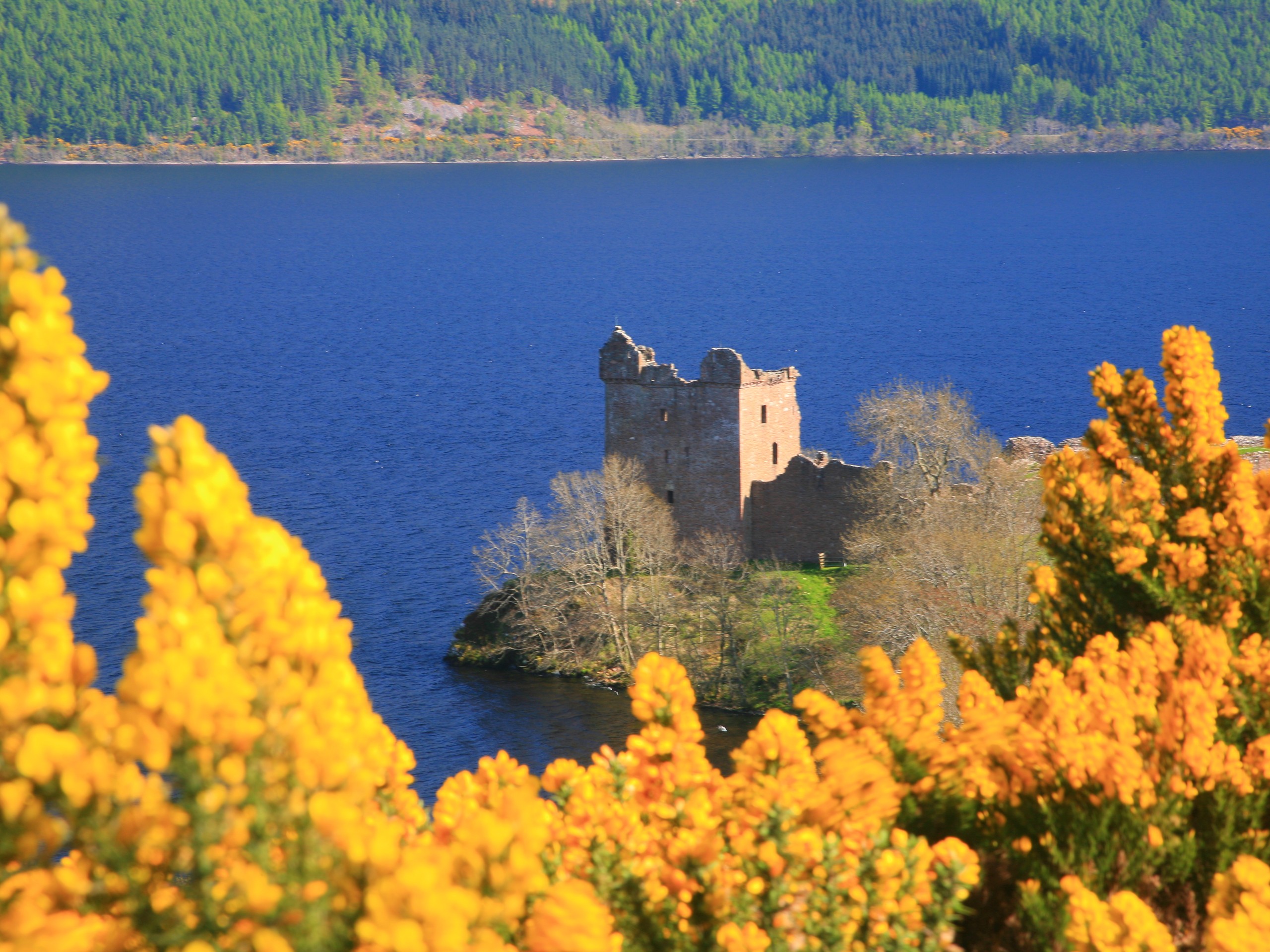 Castle seen while on Great Glen way