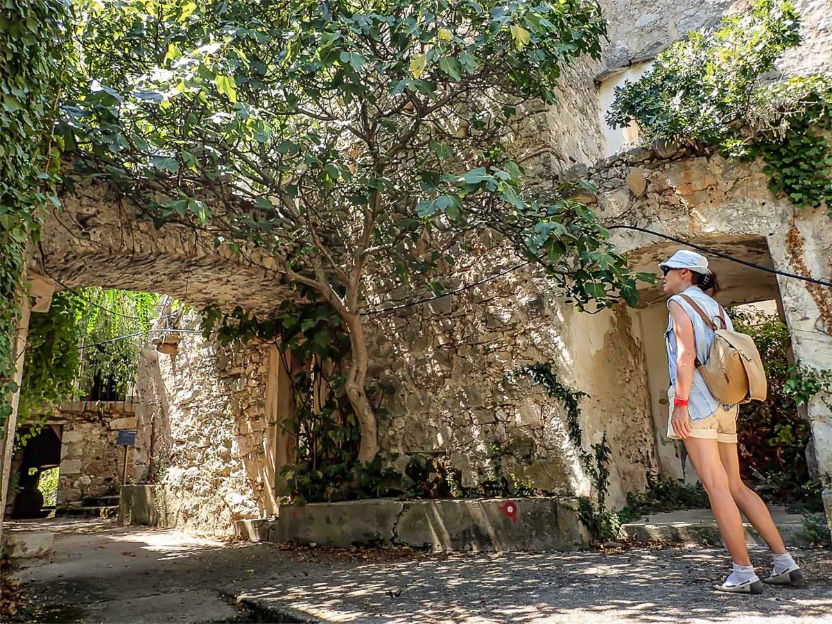 Exploring the cozy streets in Hvar on Dalmatian Differences Tour